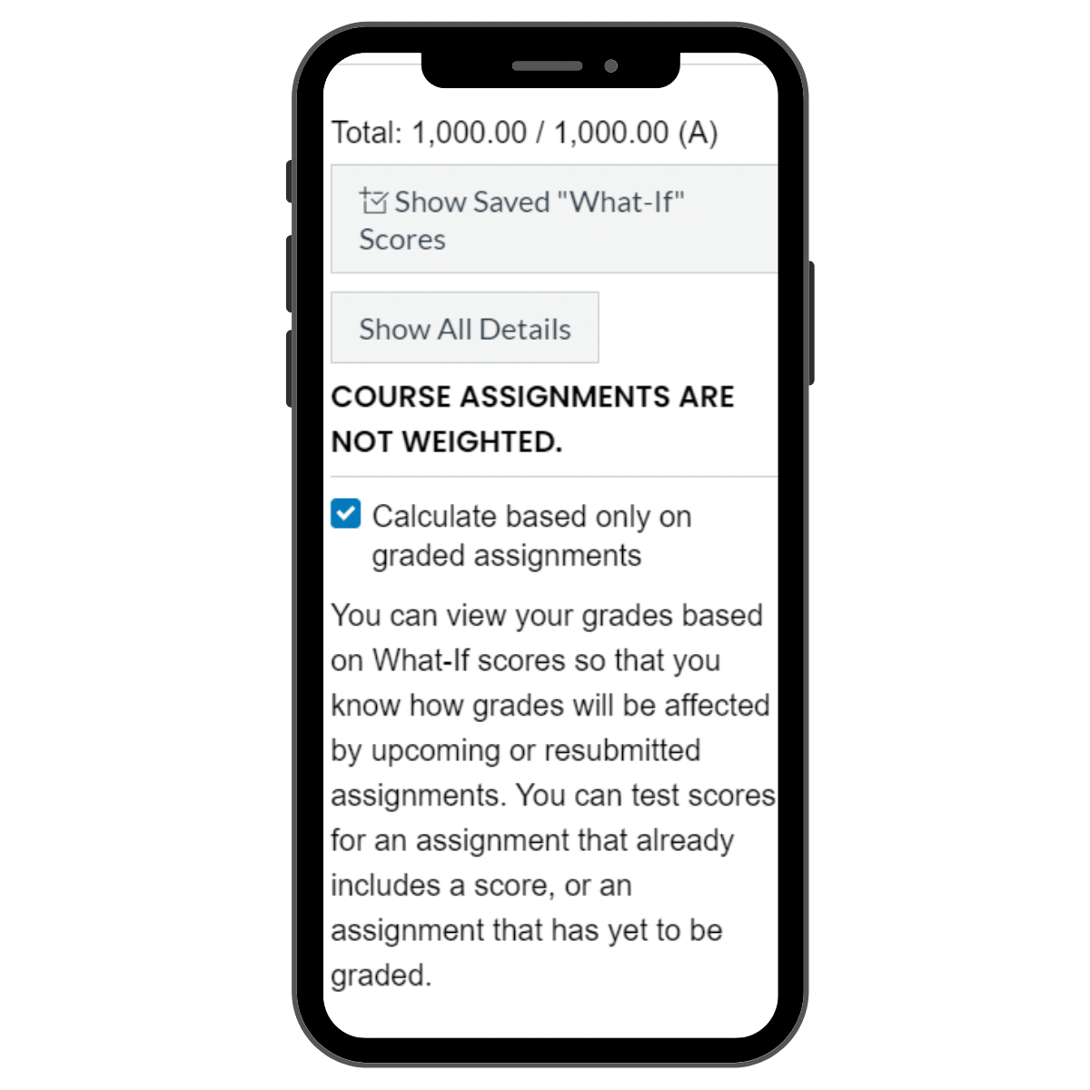 Business Class Grades